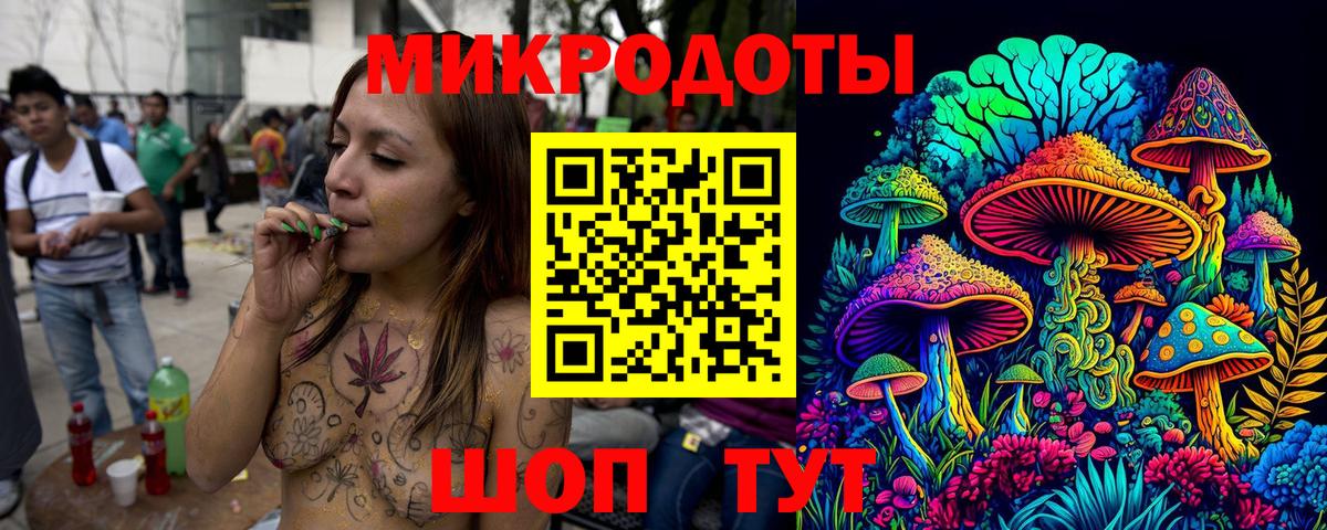 Псилоцибиновые грибы Psilocybe Омск