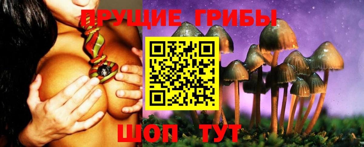 Омск  Галлюциногенные грибы GOLDEN TEACHER  Вход с VPN 